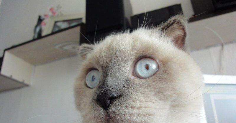 Живёшь себе живёшь а потом бац и шестнадцать