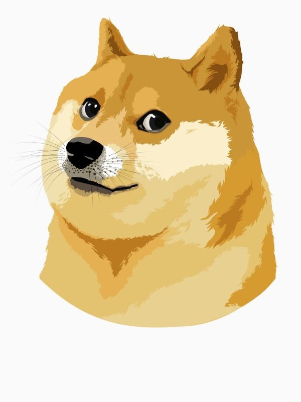 Сиба ину Додж