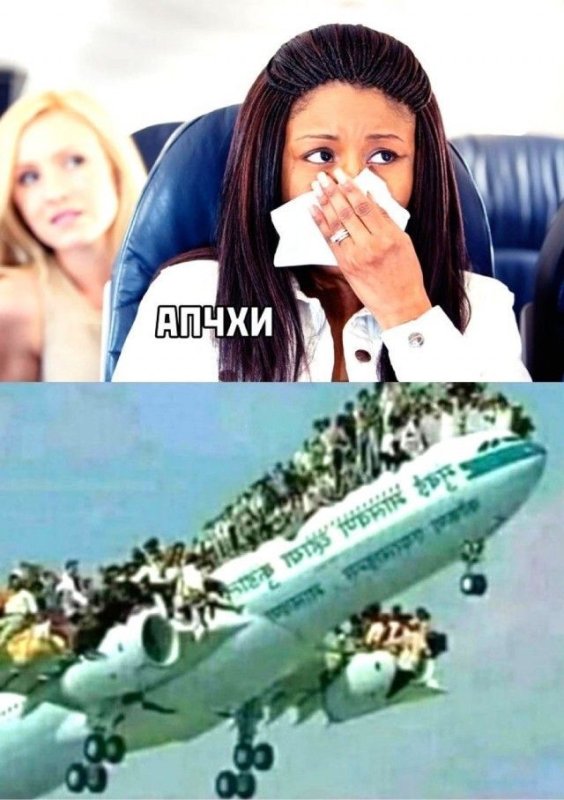 Актуальные приколы в картинках