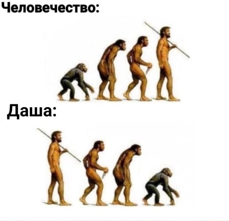 Эволюция человека Мем