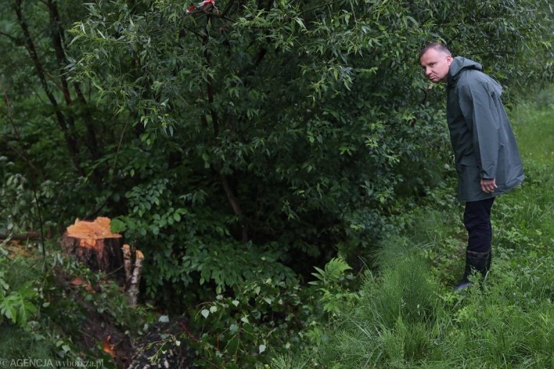 Человек прячется в кустах