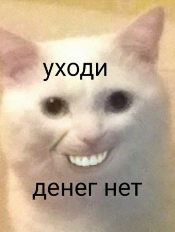 Мемы с котиками