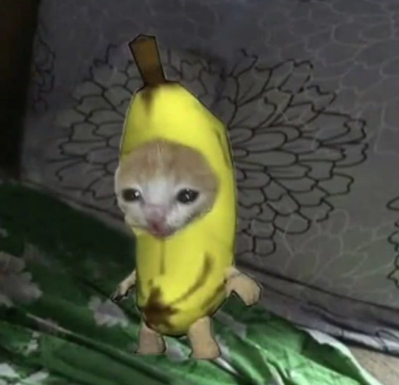 Плачущий кот в костюме банана
