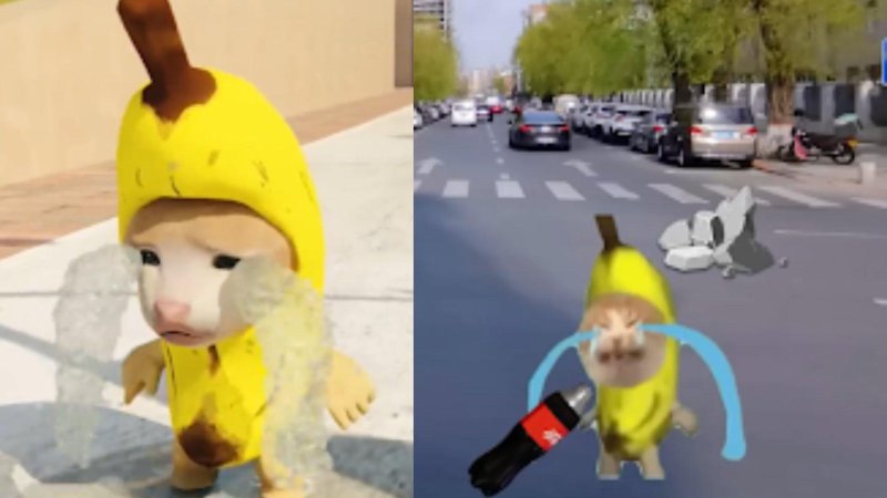 Мем кот в бвнвне