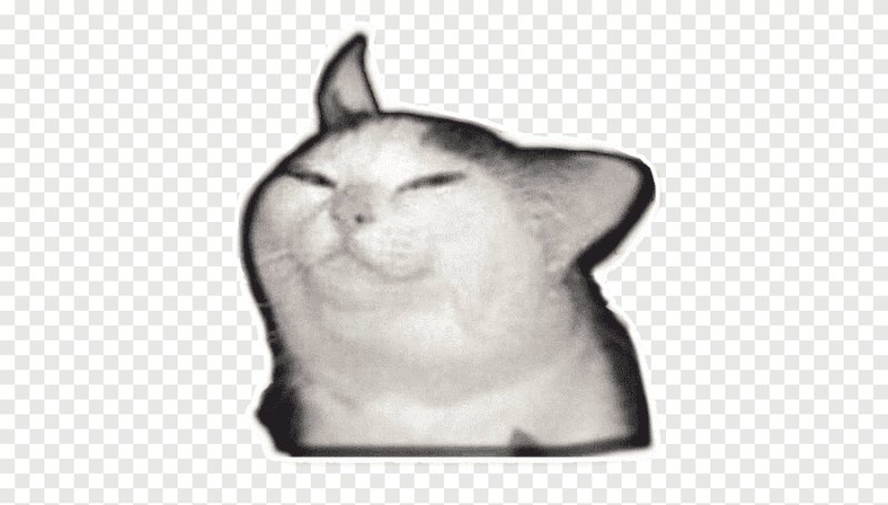 Кот без фона