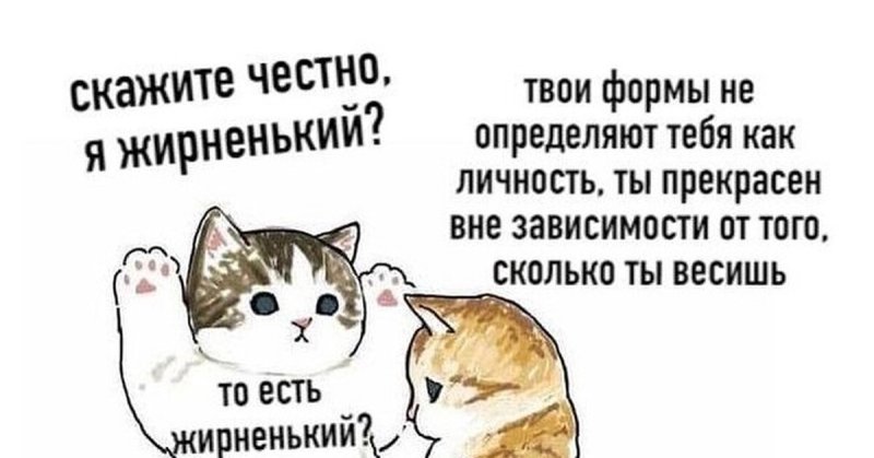 Скажите честно я жирненький котик