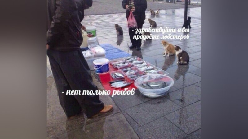 Вы Рыбов продаете Мем