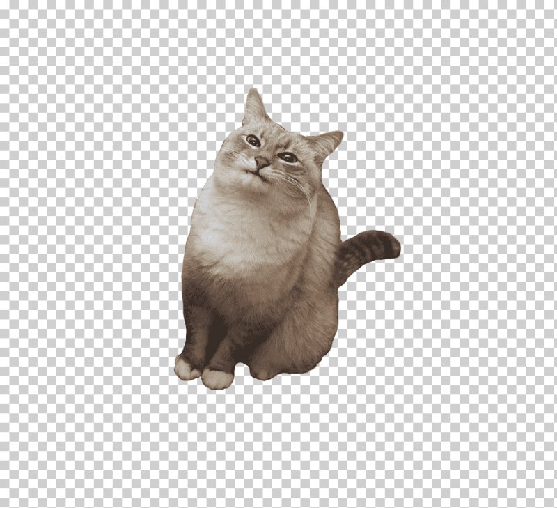 Котик без фона