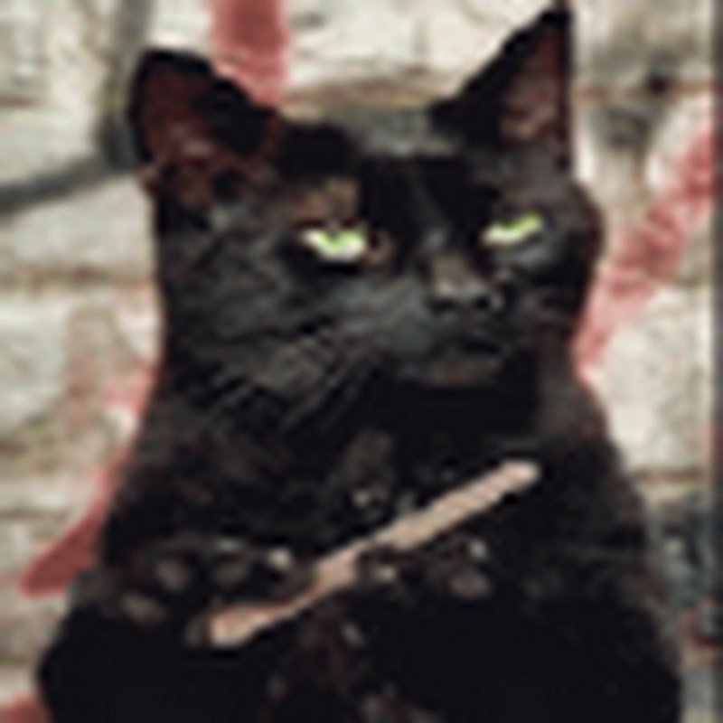 Черная кошка с пилочкой для ногтей