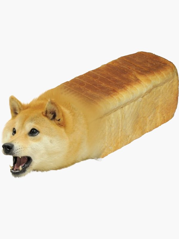 Сиба-ину Doge