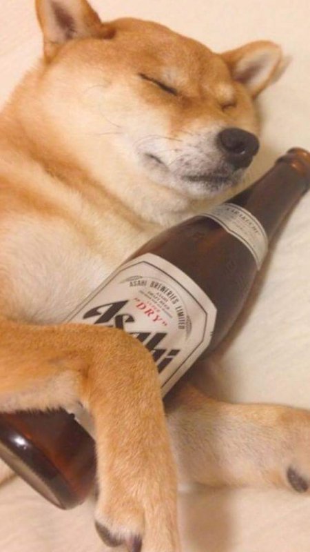 Собака и бутылка