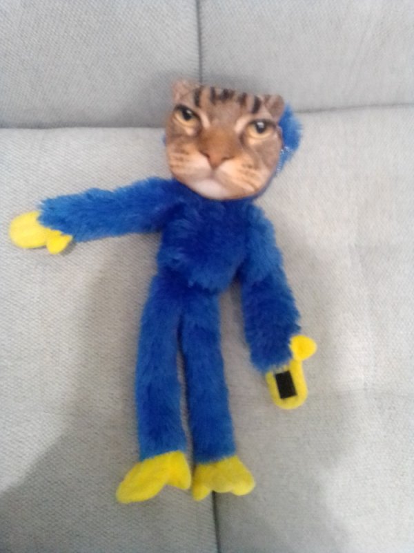 Мягкая игрушка кот Мем