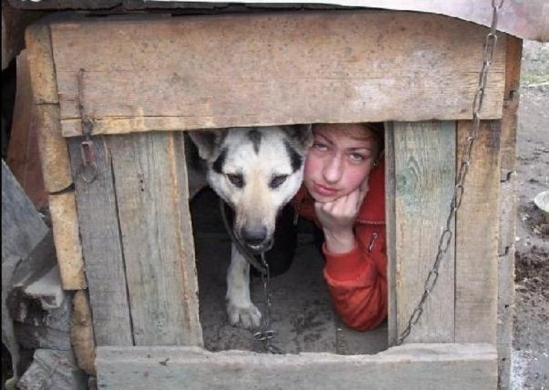 Человек в конуре собаки