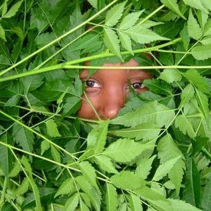 Девушка прячется в кустах