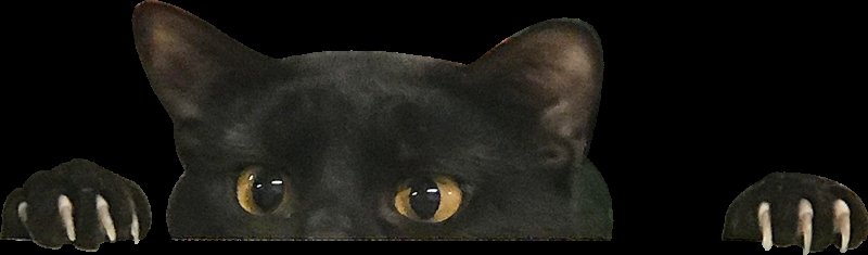 Кошка выглядывает