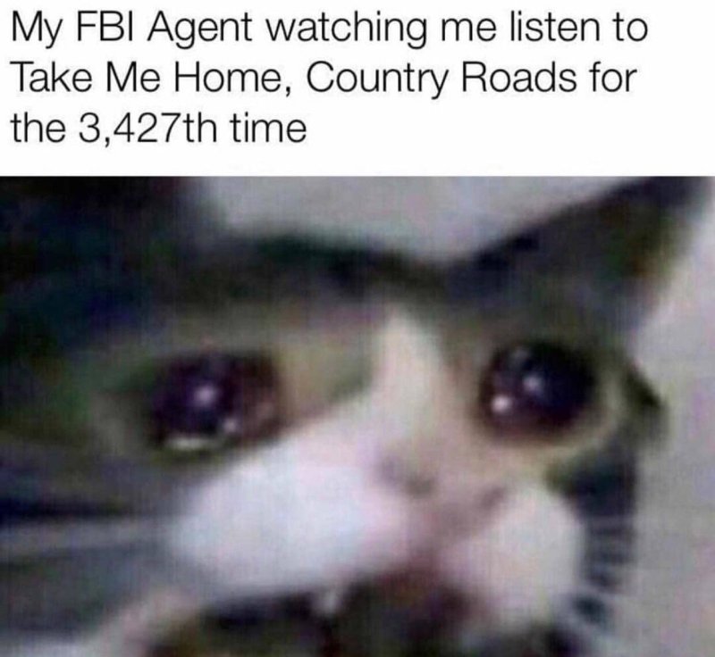 Грустный котик Мем