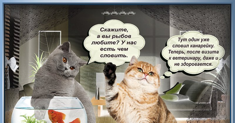 Красивое котики Рыбов