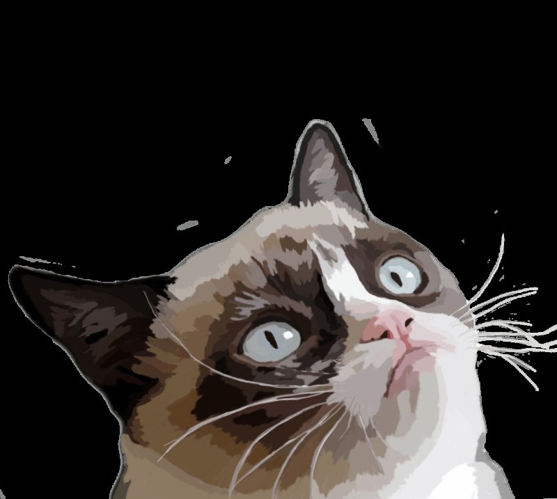 Кошка на прозрачном фоне