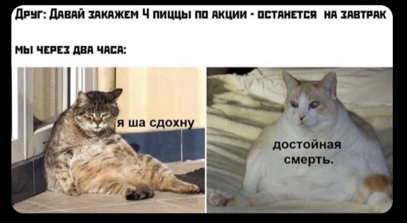 Мем про жирных котов