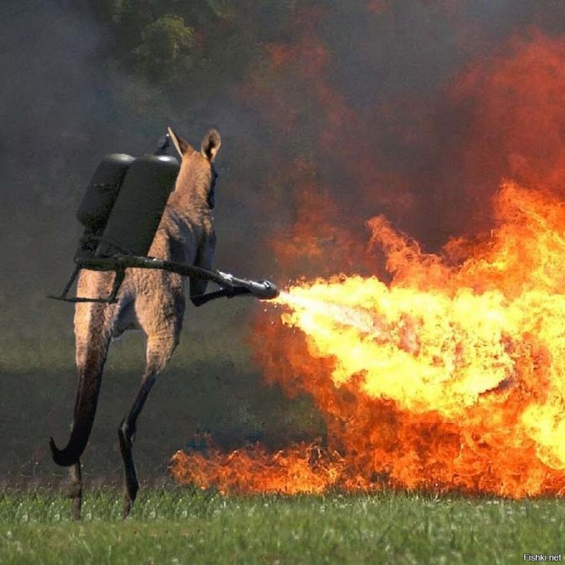 Ганс огнеметчик