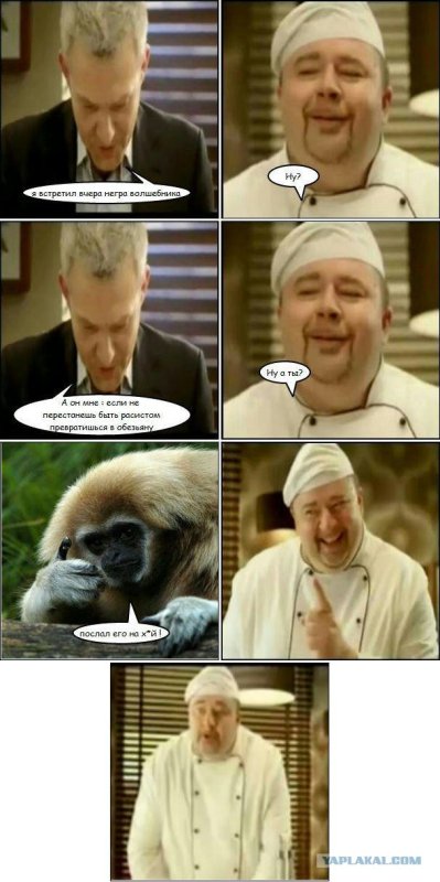 Повар расист шутки про негров