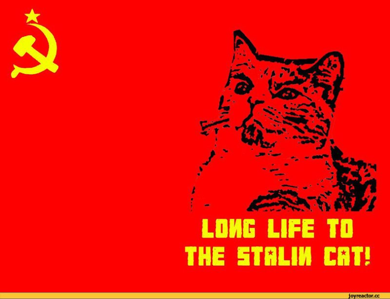 Коты советского Союза