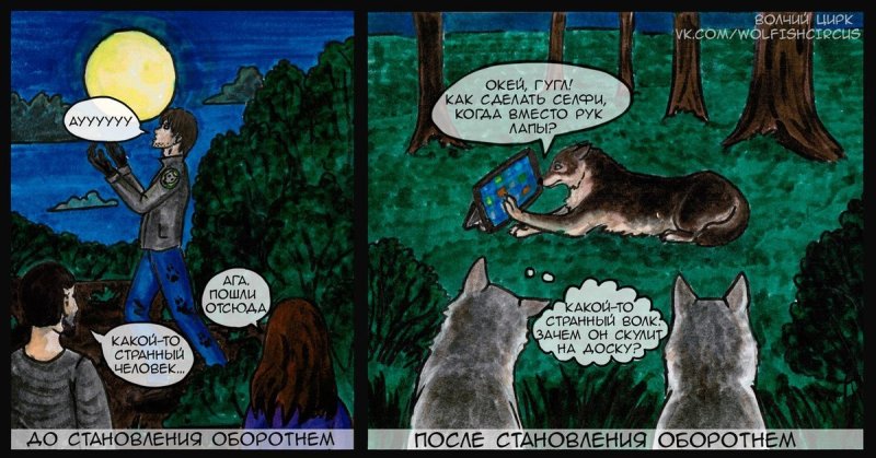 Приколы про вампиров и оборотней