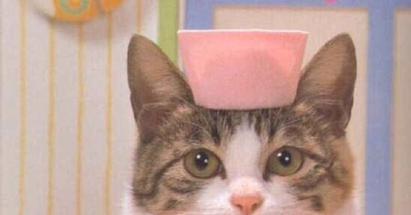 Котик в медицинской шапочке