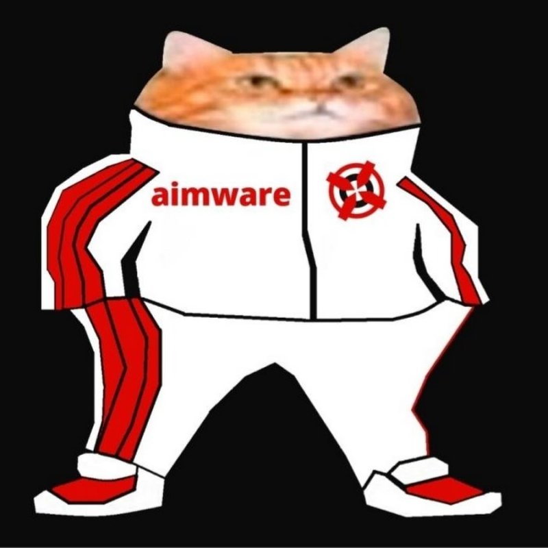 Коты в адидасе