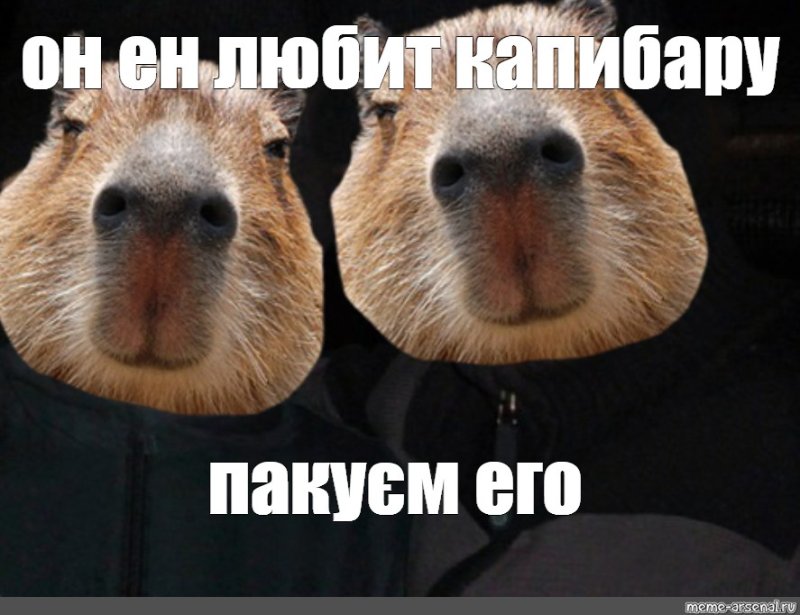 Капибара meme