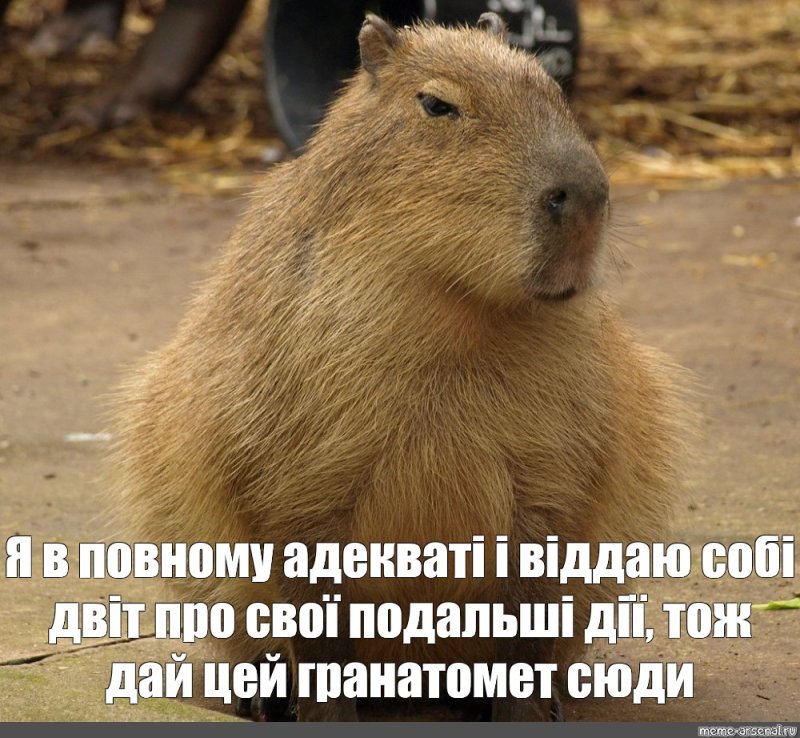 Капибара надпись