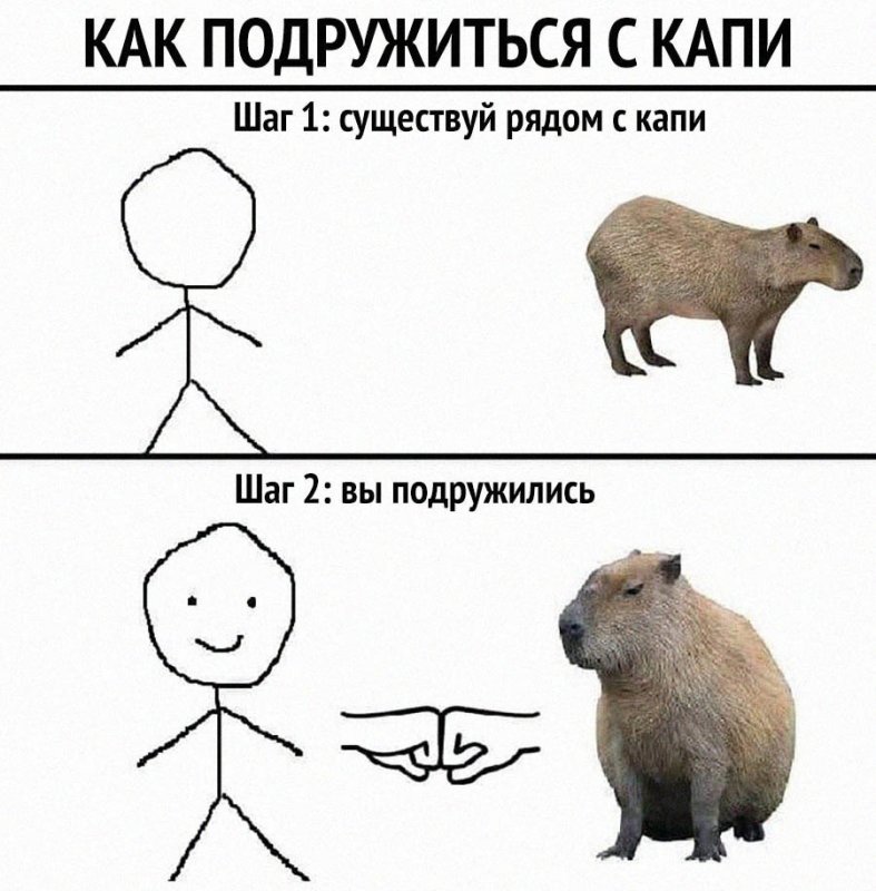 Рисунок смешной капибары