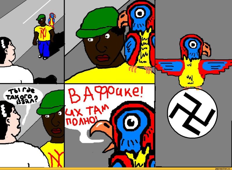 Шутка про попугая и негра