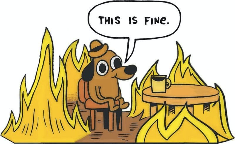 Собака горит