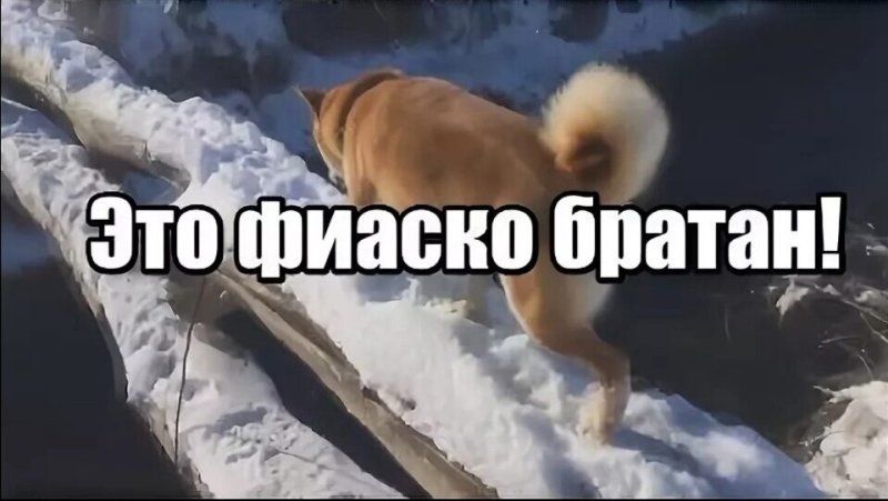 Это фиаско братан