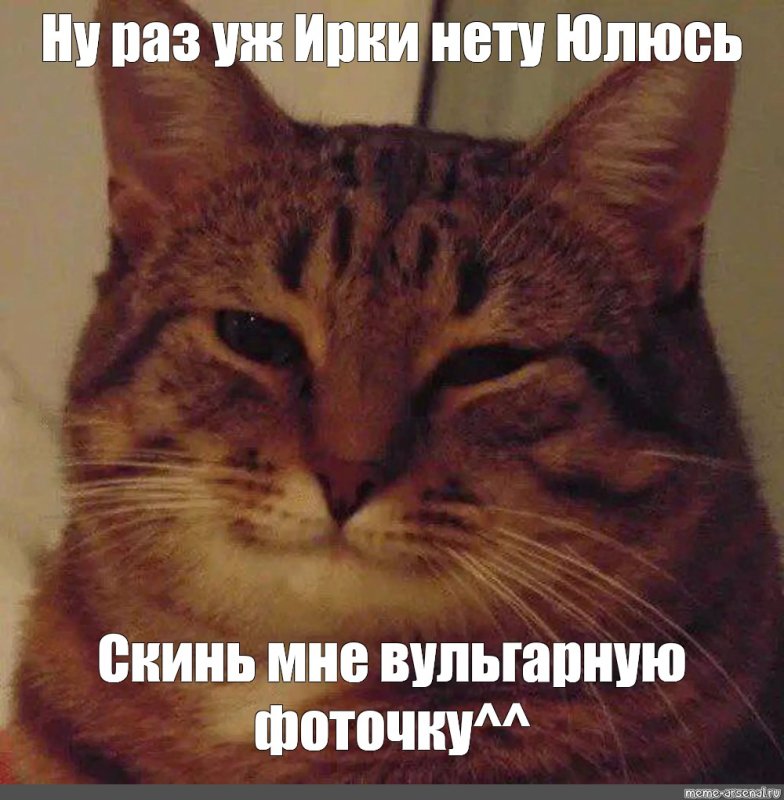 Кот душнила