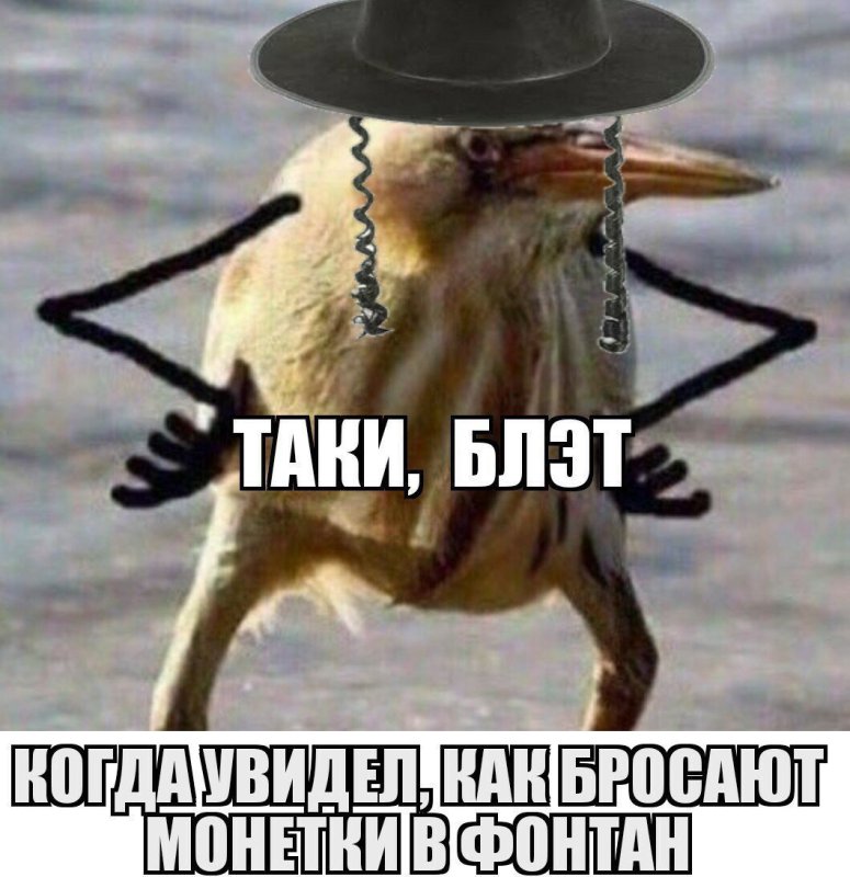 Так блэт птичка