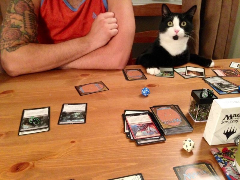 Настольные игры юмор