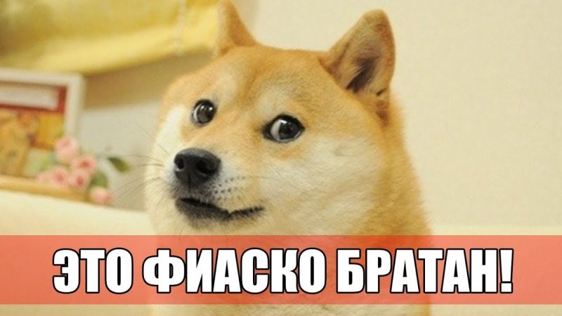 Мем dogge хватает рукой