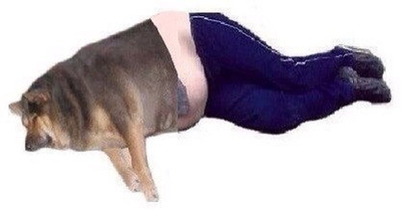 Лежачий батя