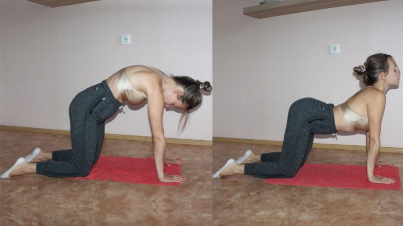 Растяжка спины на четвереньках