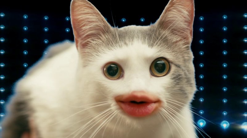 Коты с человеческими губами