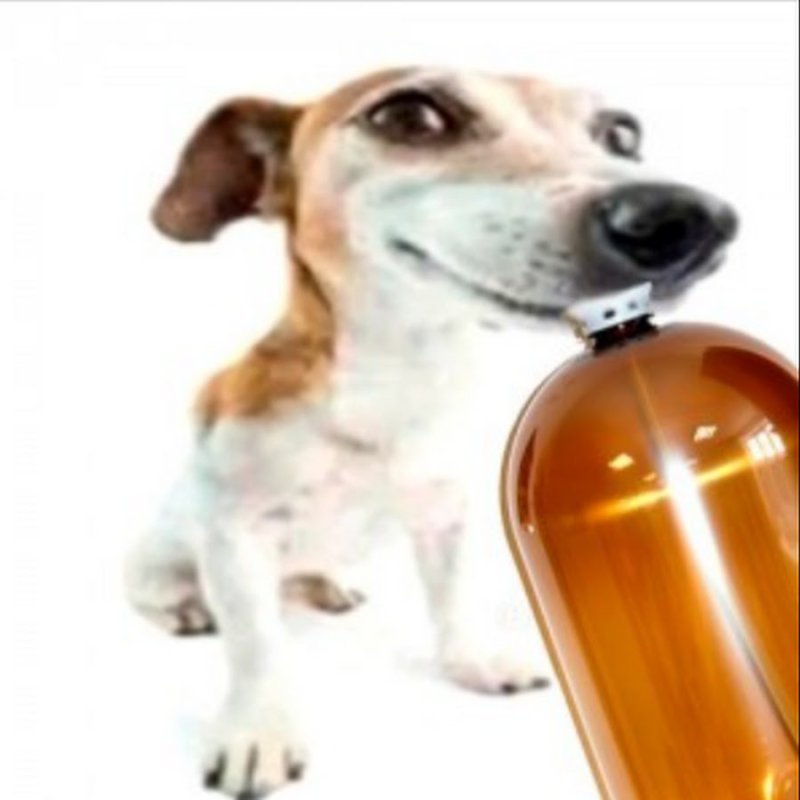 Джек Рассел и пивная кега