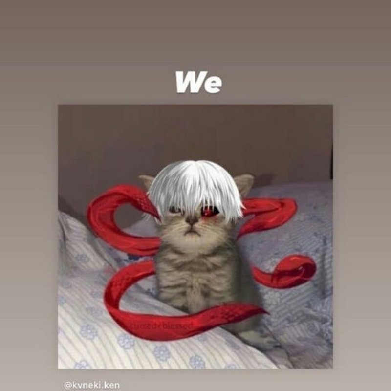 Токийский гуль кот