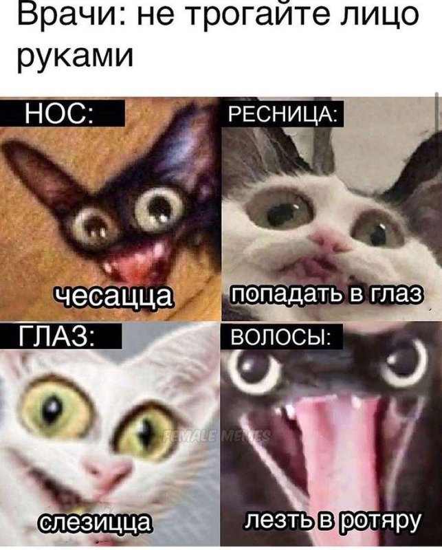 Мемы про Инстаграм