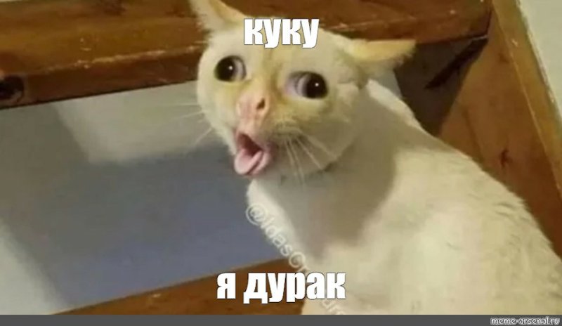 Кот рыгает Мем
