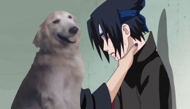 Ace Combat 7 собака