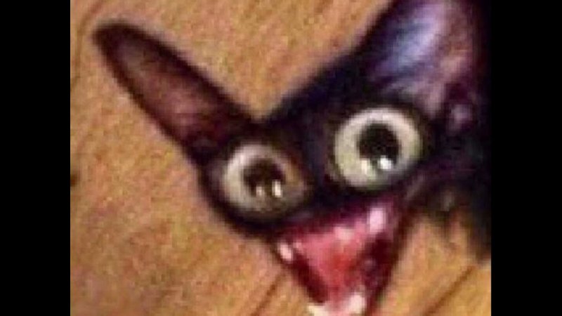 Черный кот Мем чипсеки