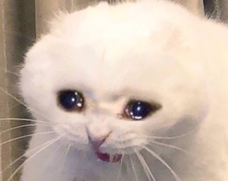 Гифка тебе капец