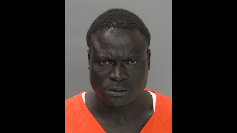 Работник зоопарка арестован за попытку